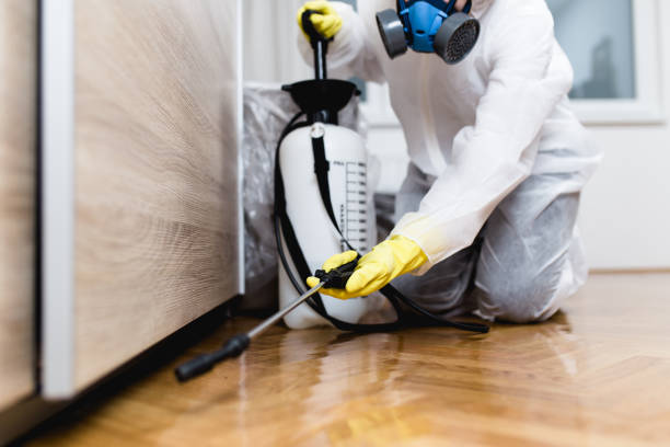 Best Affordable Pest Control Services  in Crownpoint, NM