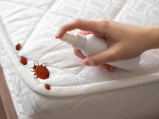 Best Pest Control for Businesses  in Crownpoint, NM