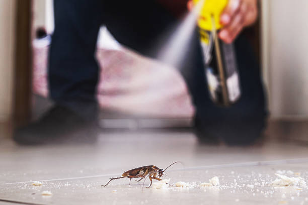 Best Rodent Control Near Me  in Crownpoint, NM