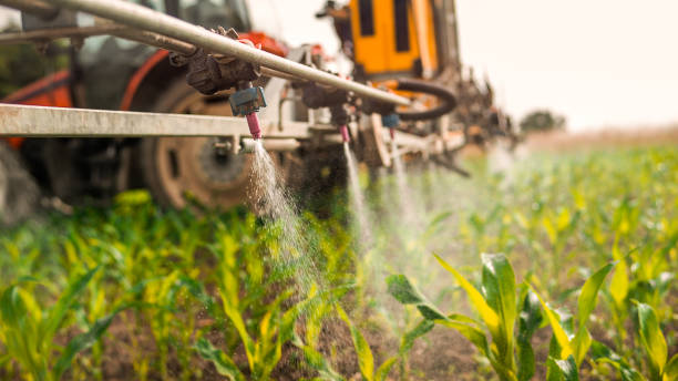 Best Pest Control for Homes  in Crownpoint, NM